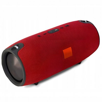 Tragbarer kabelloser...