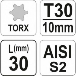Antgalis Torx T30x30mm, S2