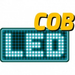 Darbo lempa 3W, COB 100LM, daugiafunkcinė