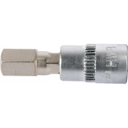 Antgalis įpresuotas į galvutę 1/4, Hex, H8