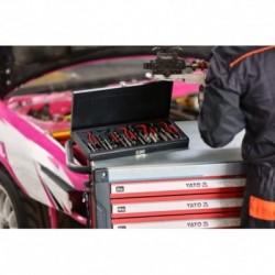 Sriegio atkūrimo komplektas M5-M12