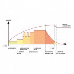 Elektroninis įkroviklis 12/6v 1/4a 200ah