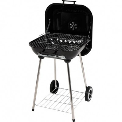 Lauko kepsninė / grilis, su dangčiu ir grotelėmis, 40X45 cm