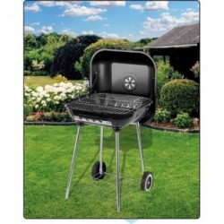 Lauko kepsninė / grilis, su dangčiu ir grotelėmis, 40X45 cm