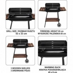 Lauko kepsninė / grilis,  53X33 cm