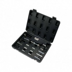 Rinkinys cilindrų honingavimui, 20-50, 25-70, 32-89 mm, 14 vnt.