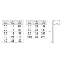 Šešiakampių raktų rinkinys HEX, ilgi, su šarnyru, 1.5-10mm, 9vnt