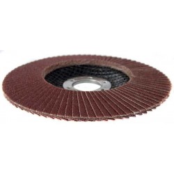 Šlifavimo diskas lapelinis 125mm P36