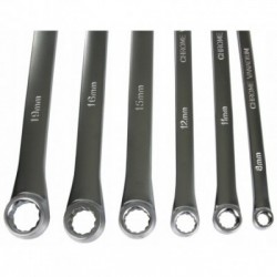 Žiediniais galais prailgintų raktų rinkinys 8-21mm