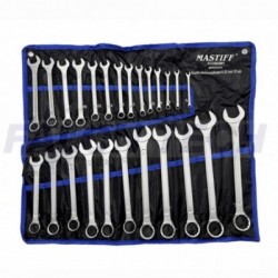 Kombinuotų raktų rinkinys 25d. 6-32mm