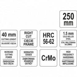 Žirklės skardai, dešininės, Cr-Mo, 250mm