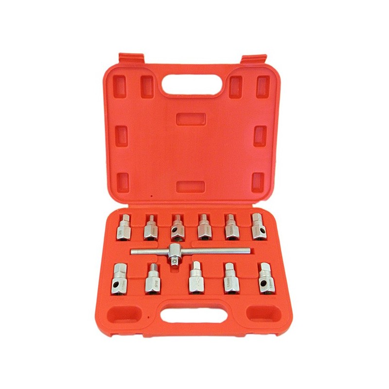 Alyvos nuleidimo kamščių raktų rinkinys 12 vnt.