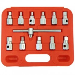 Alyvos nuleidimo kamščių raktų rinkinys 12 vnt.