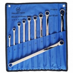 Žiediniais galais prailgintų raktų rinkinys 8-19 mm, 10 vnt.