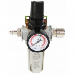 Drėgmės filtras su reguliatoriumi ir manometru 1/2”