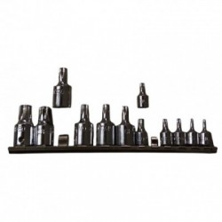 Profesionalus antgalių rinkinys Torx, T10-T60, 1/4″, 3/8″