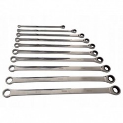 Žiediniais galais prailgintų raktų su terkšle rinkinys 8-19 mm, 10 vnt.