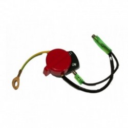 Generatoriaus uždegimo jungiklis