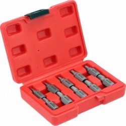 Varžtų išsukėjų rinkinys 10 vnt.