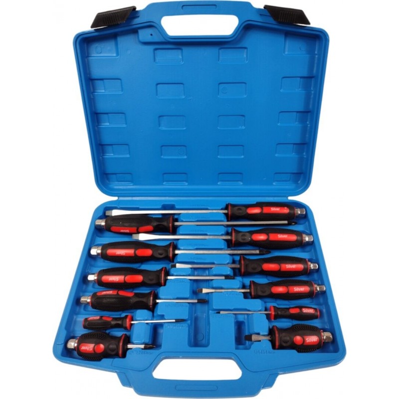 Smūginių atsuktuvų rinkinys 12 vnt.