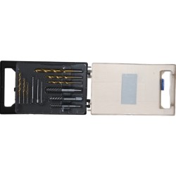 Universalus varžtų ir smeigių ištraukimo rinkinys 12 vnt. 