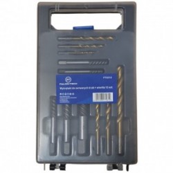 Universalus varžtų ir smeigių ištraukimo rinkinys 12 vnt. 