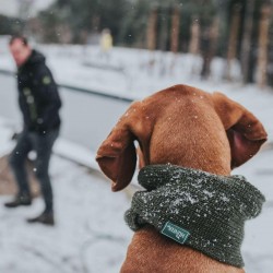 Augintinio šalikas Hunter Žalias Augintinio šalikas Hunter Žalias