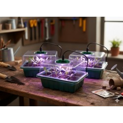 Mini šiltnamių rinkinys daiginimui su LED apšvietimu – 3 vnt.