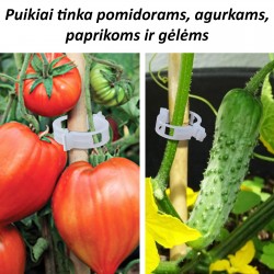 Pomidorų segtukai, 50 vnt.