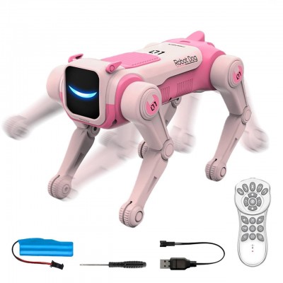 Ferngesteuerter Roboterhund...