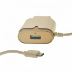 Įkroviklis Micro USB su papildoma usb jungtimi 2.1A