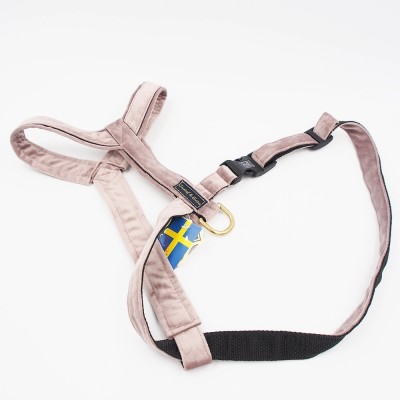 50/90 cm. Gustaf & Evita Zahnspangen