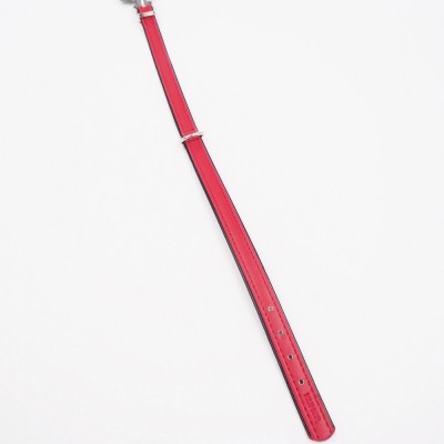 32–38 cm. Kragen Hunter 97701
