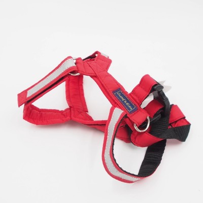 SM "Gustaf & Evita" Zahnspange GE441403