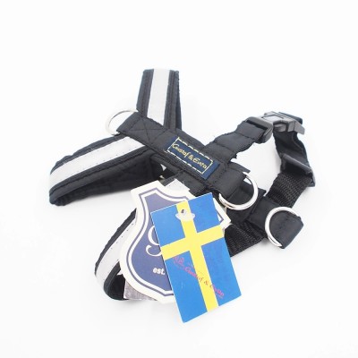 Zahnspangen XS+ "Gustaf & Evita"