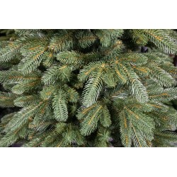 150 cm Weihnachtsbaum „Skandinavische Tanne“ 150 cm Weihnachtsbaum „Skandinavische Tanne“